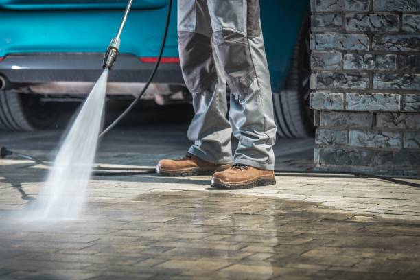 Animal Enclosure Cleaning in Aledo, IL