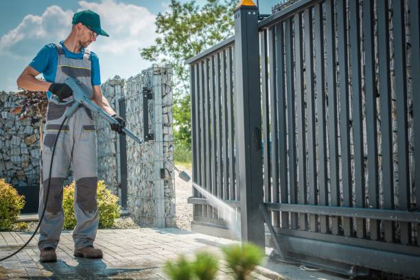 Best Rust Removal  in Aledo, IL