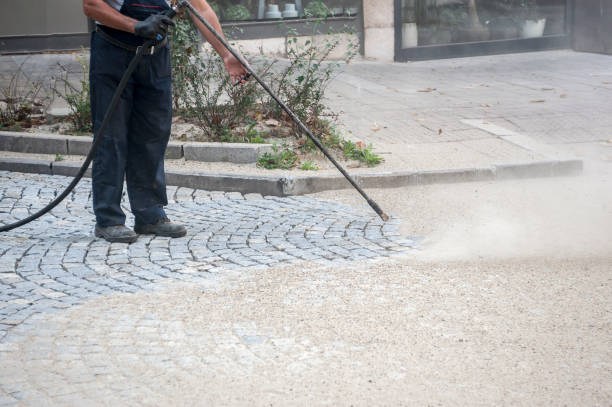 Best Fence Cleaning  in Aledo, IL
