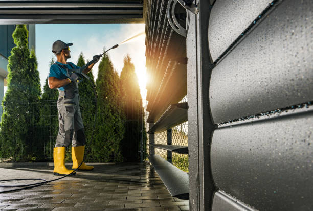Best Solar Panel Cleaning  in Aledo, IL